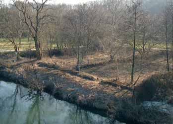 Kohleniederlage Nachtigall