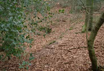 Schrfgraben im Essener Volkswald