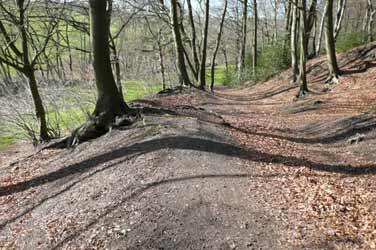 Wstung von Stckerdreckbank