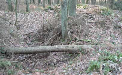 Lichtloch des Stollens von Louisenglck