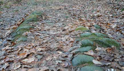 Alter Kohlenweg am Ebberg