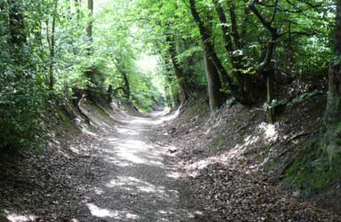 Kohlenweg in Wuppertal-Ronsdorf